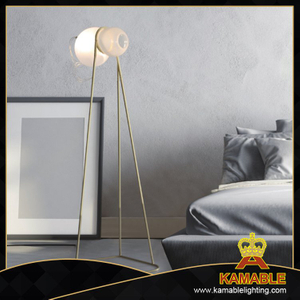 إضاءة منزلية حديثة زجاج مصباح أرضي (ML8151-1)